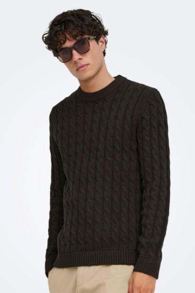Only & Sons Kicker Cable Knit Crew Neck Coffee Bean