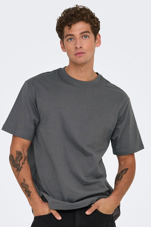 Only & Sons Fred Life Relaxed Fit SS Tee Noos Grey Pinstripe