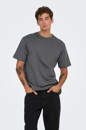 Only & Sons Fred Life Relaxed Fit SS Tee Noos Grey Pinstripe