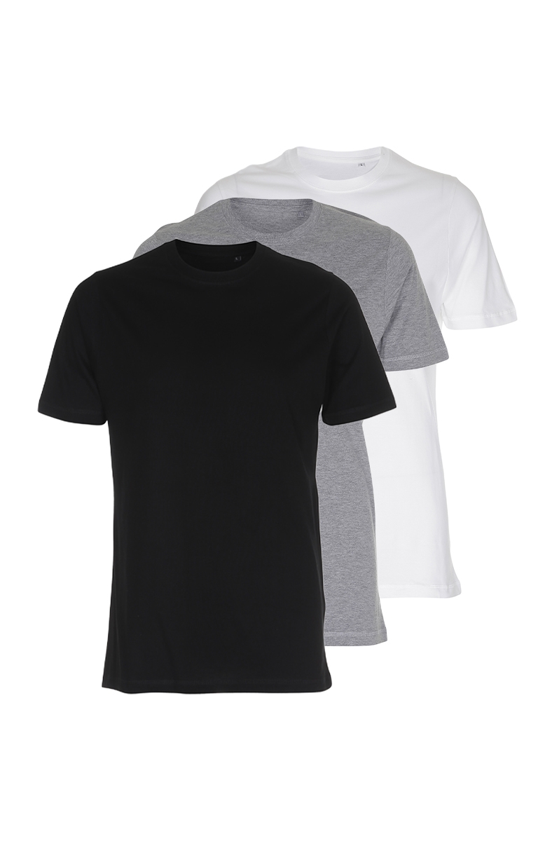 Mix selv: 3 x Organic Basic T-shirts: 299,- (KUN 99,66 kr.  pr. stk.)